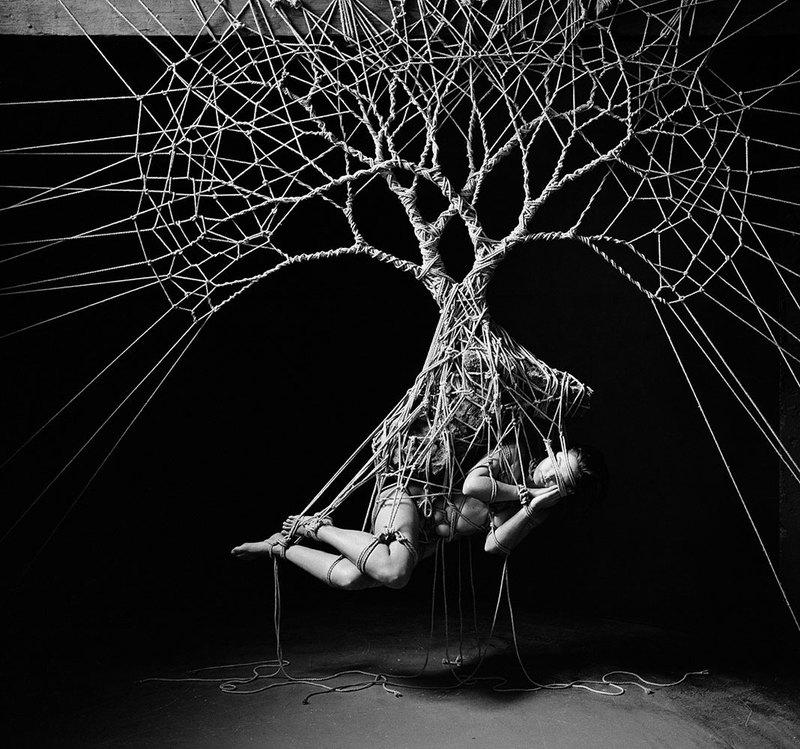 Illustration for article titled The beautiful bondage forests of Garth Knight